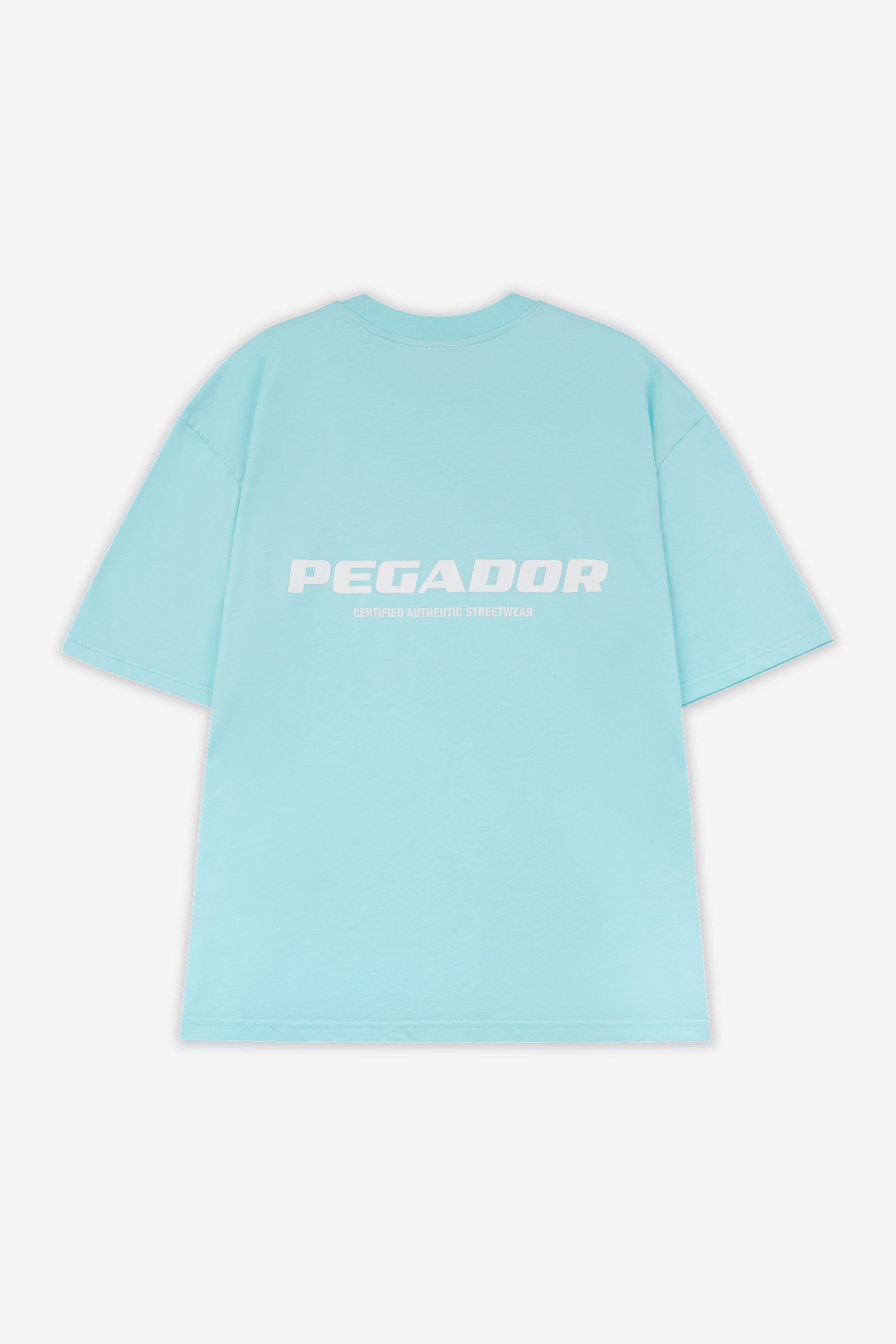 Pegador Colne Logo Oversized Tee Washed Sky Blue White Detailshot aus der High summer Kollektion für Herren