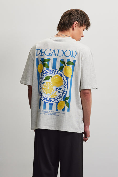 Palmela Oversized Tee Cloud Grey Melange