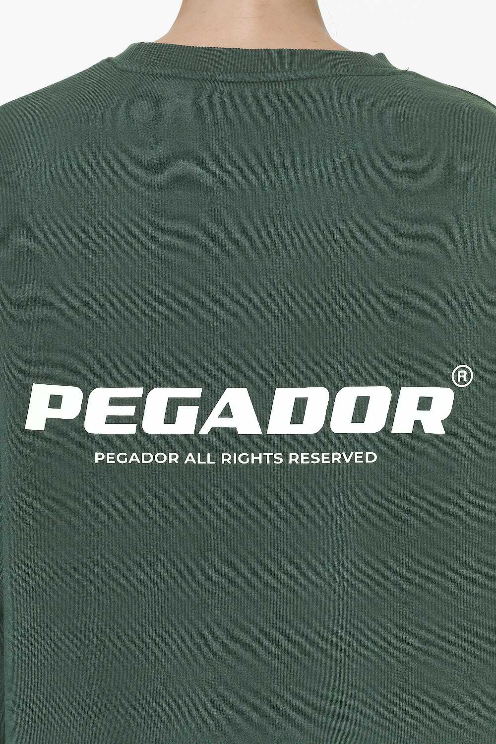 Pegador Aelva Logo Heavy Oversized Crew Neck Washed Sage Green Detailshot aus der Do not Disturb Kollektion für DaHerren