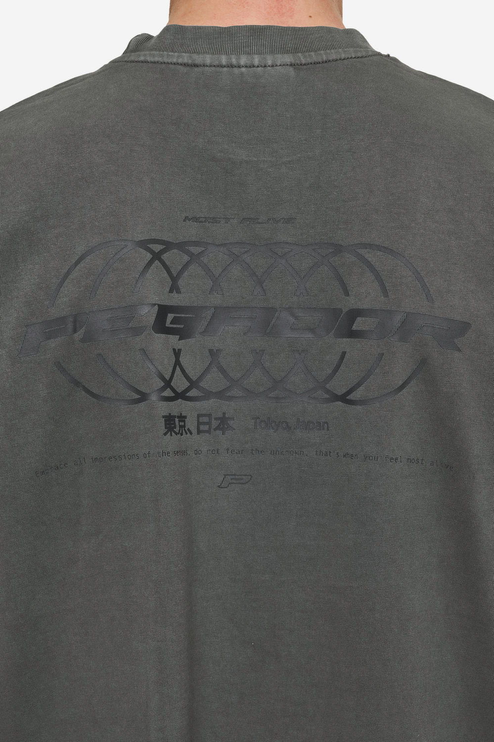 Pegador Lance Oversized Tee Vintage Anthracite Gegenansicht aus der Most Alive Kollektion für Herren