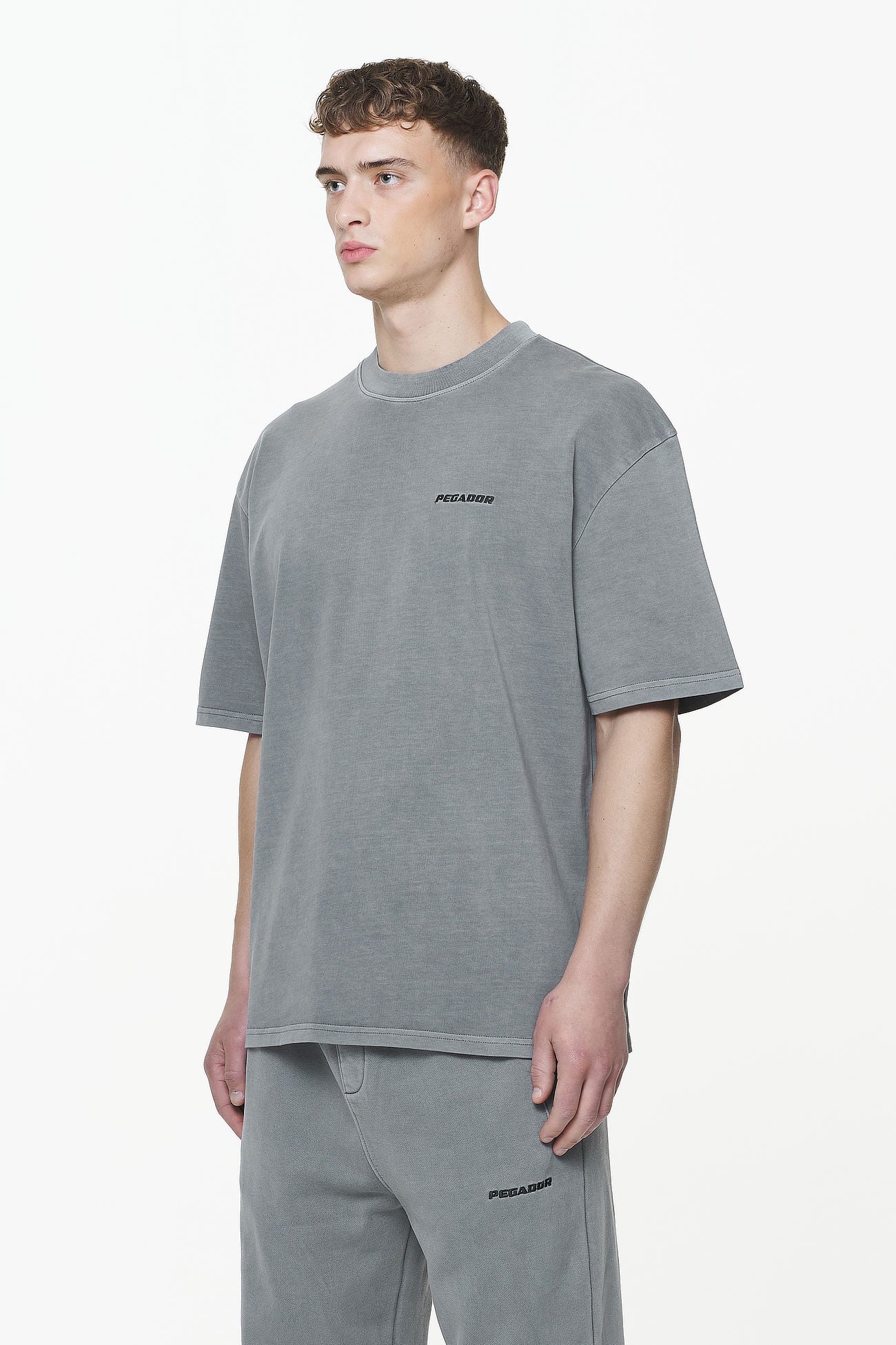 Pegador Logo Oversized Tee Vintage Grey Seitenansicht aus der Built to Last Kollektion für Herren