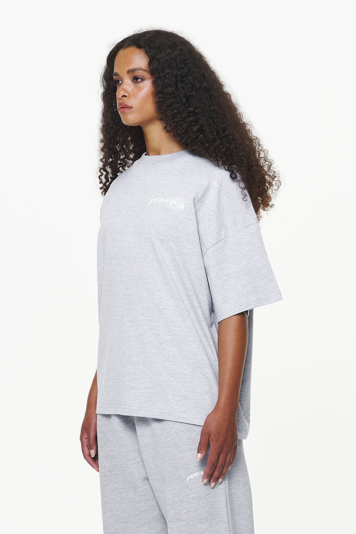 Pegador Pall Heavy Oversized Tee Grey Melange Gegenansicht aus der Built to Last Kollektion für DaHerren