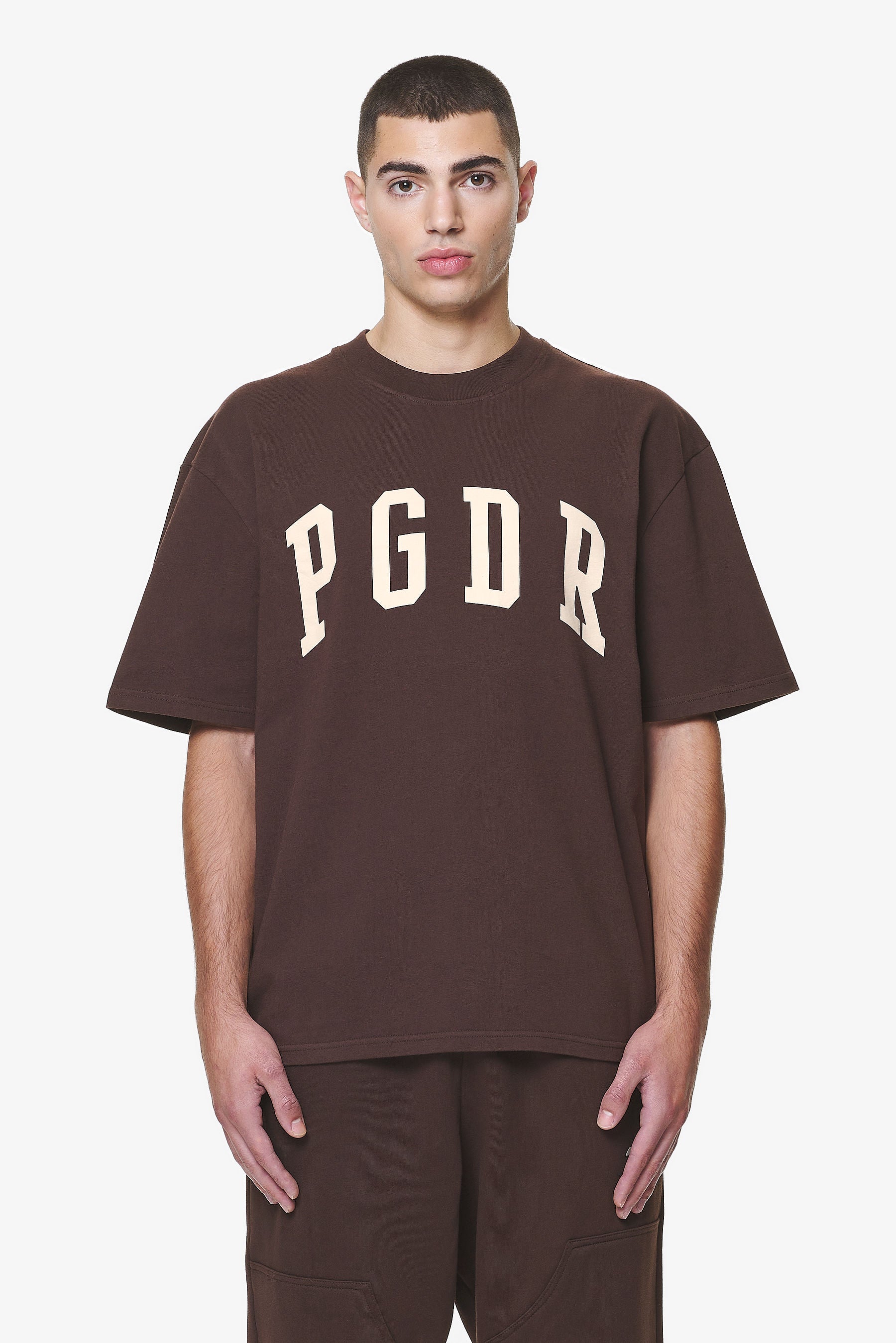 Pegador Layton Oversized Tee Washed Oak Brown Hauptansicht aus der Do not Disturb Kollektion für Herren