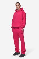 Pegador Logo Boxy Hoodie Washed Virtual Pink Ganzkörper Bild aus der Most Alive Kollektion für Herren