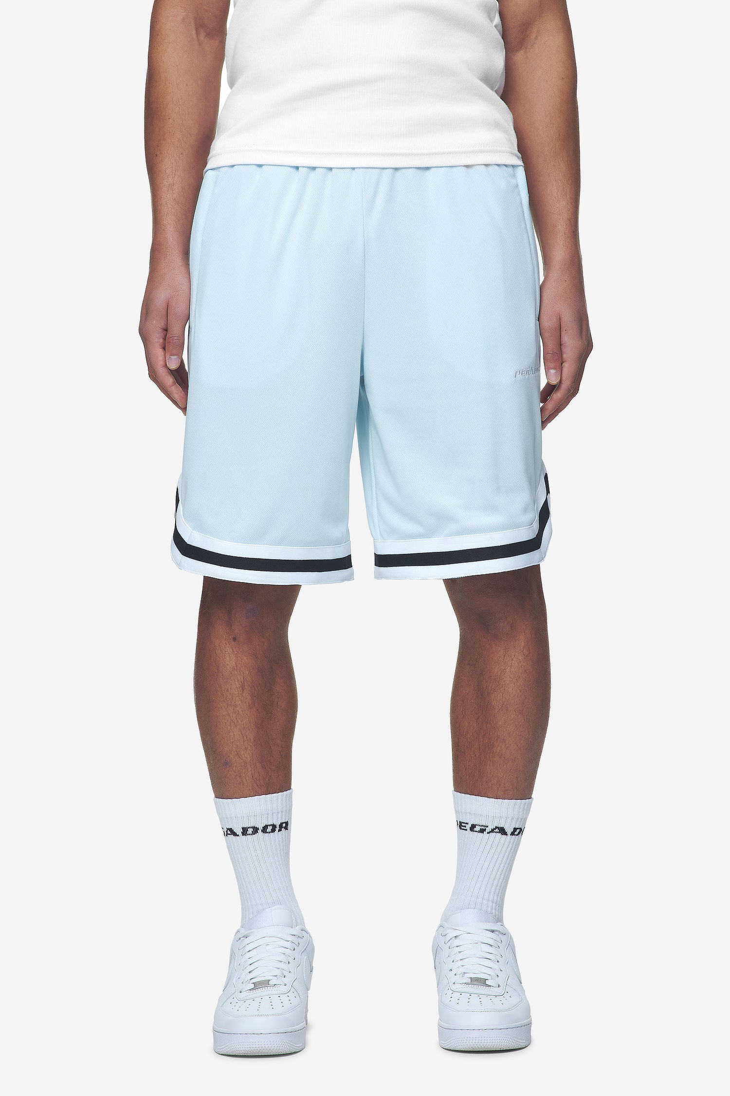 Pegador Lansing Basketball Shorts Baby Blue Hauptansicht aus der Next Wave Kollektion für Herren