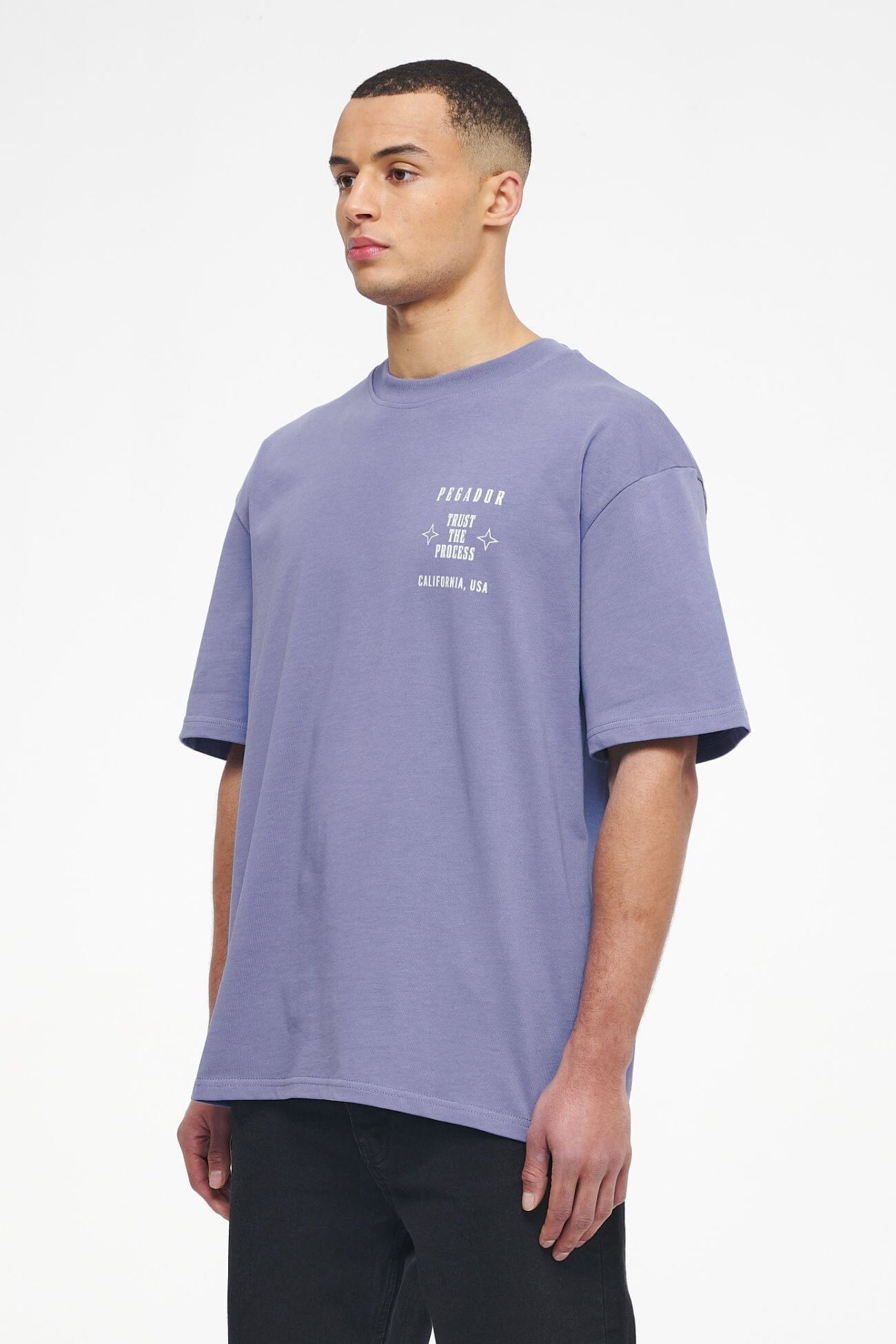 Pegador Salal Oversized Tee Vintage Washed Magic Violet Gegenansicht aus der Trust The Process Kollektion für Herren